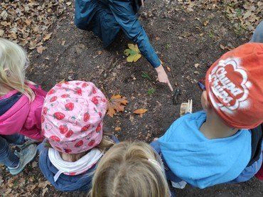 Kinder und Erwachsener zeigen auf Boden mit Blättern.